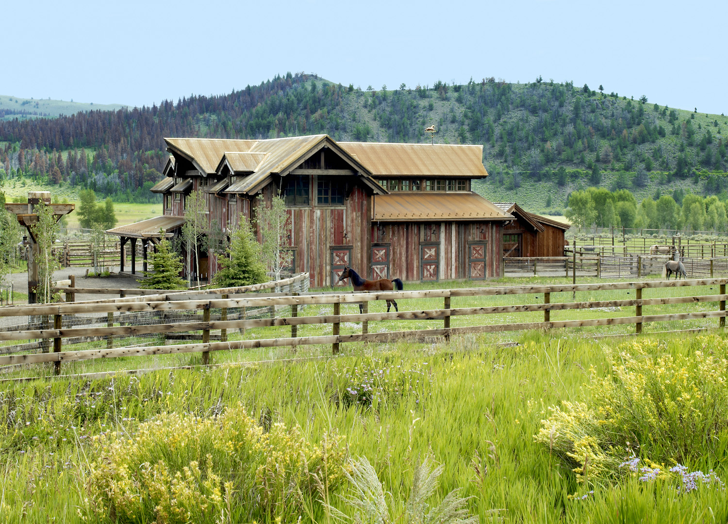 ranch horses colorado mountains