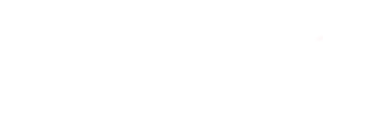Vail lifestyle logo